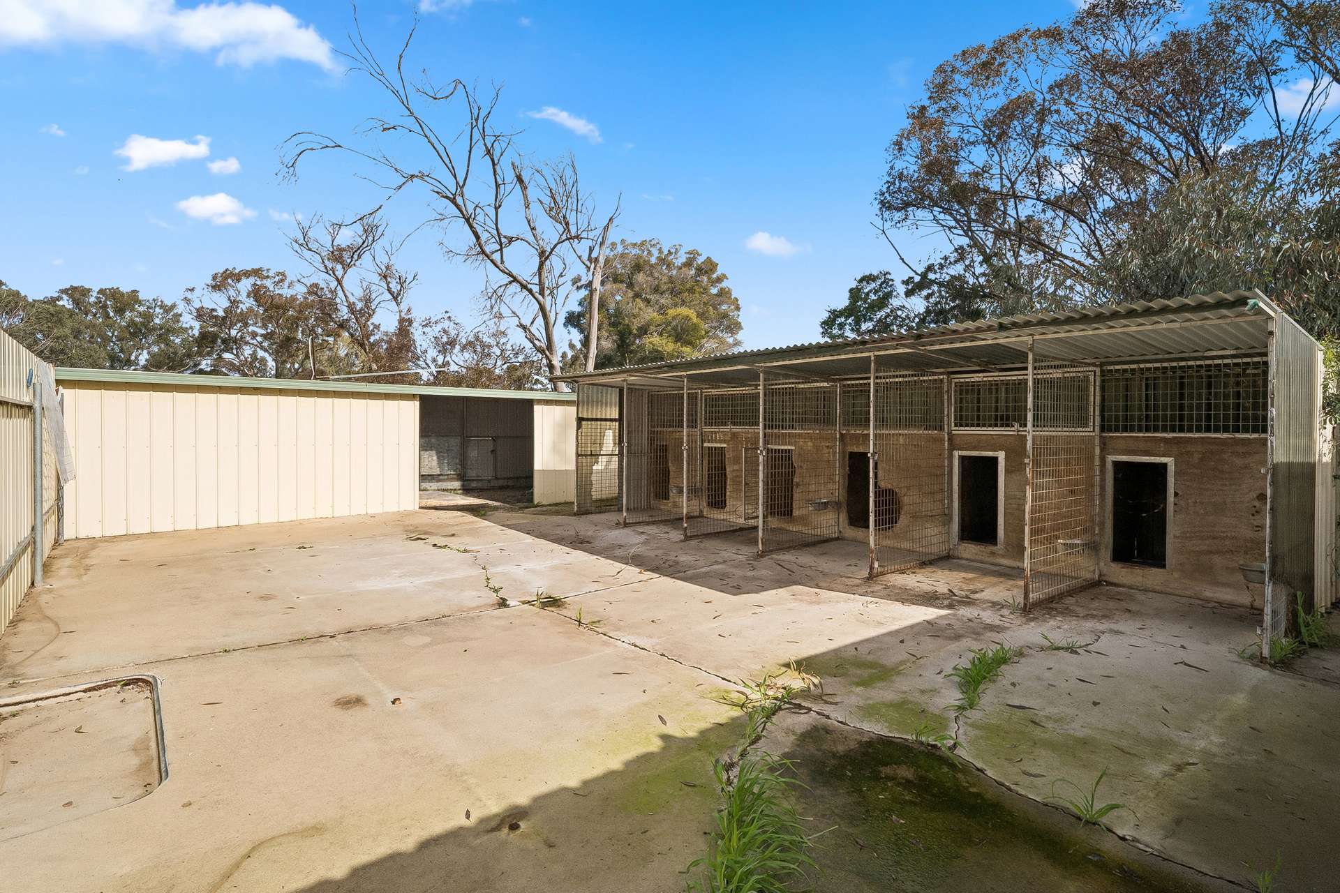115 Lancaster-Mooroopna Road, Lancaster For Sale by Farmbuy.com - image 19