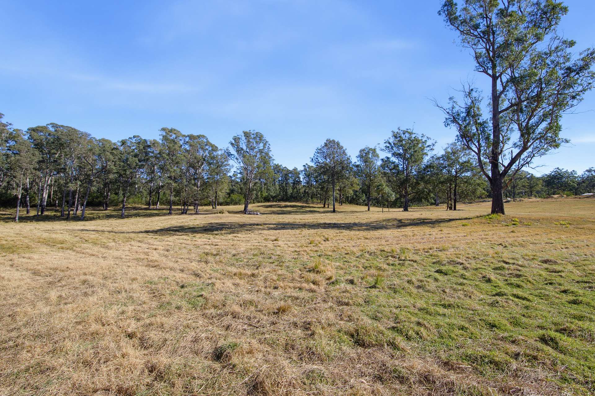 Runnyford For Sale by Farmbuy.com - image 14