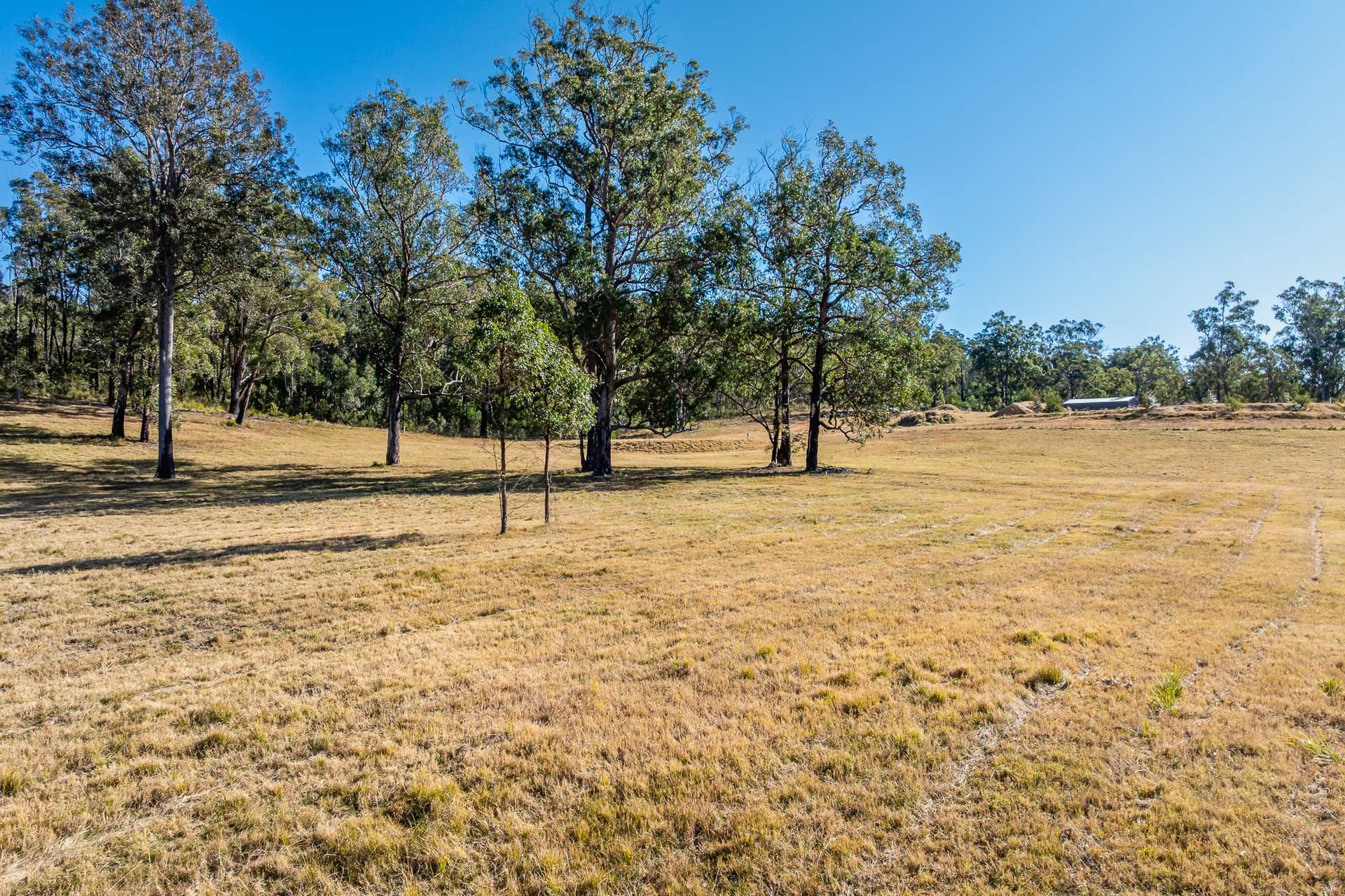 Runnyford For Sale by Farmbuy.com - image 15