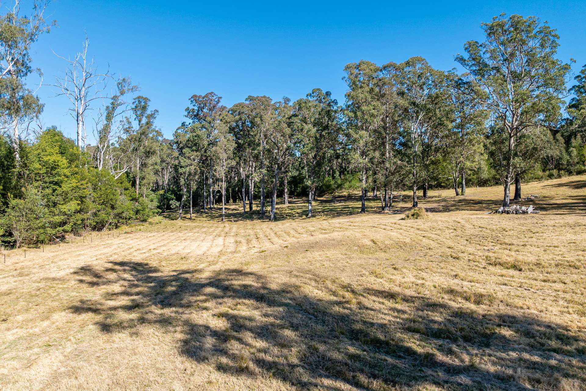 Runnyford For Sale by Farmbuy.com - image 17