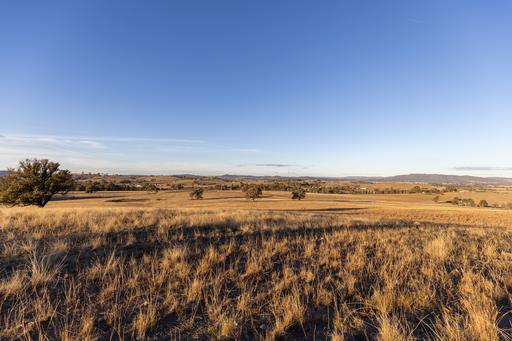 Farm Sold - NSW - Mudgee - 2850 - ELEVATED COUNTRY LIVING AT ITS FINEST 