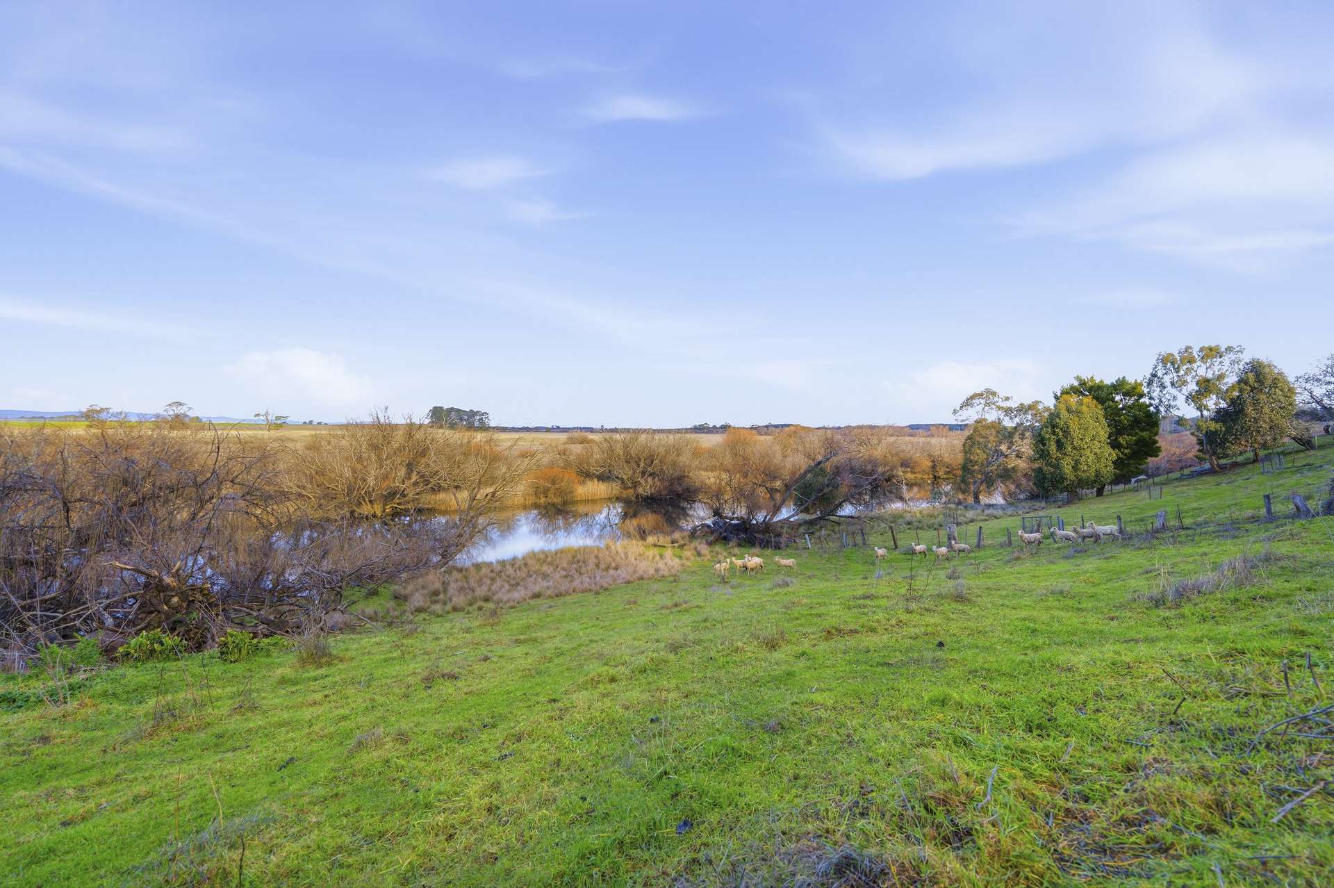 256 Leighlands Road, Evandale For Sale by Farmbuy.com - image 25
