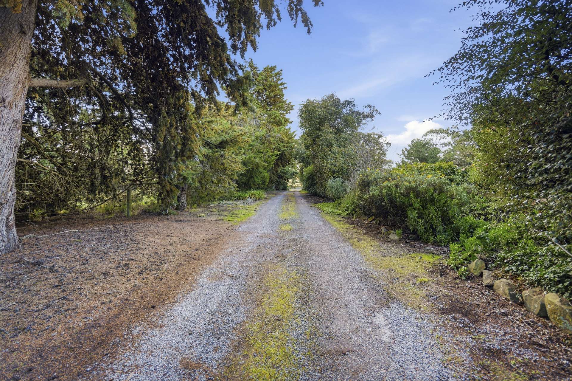 256 Leighlands Road, Evandale For Sale by Farmbuy.com - image 7