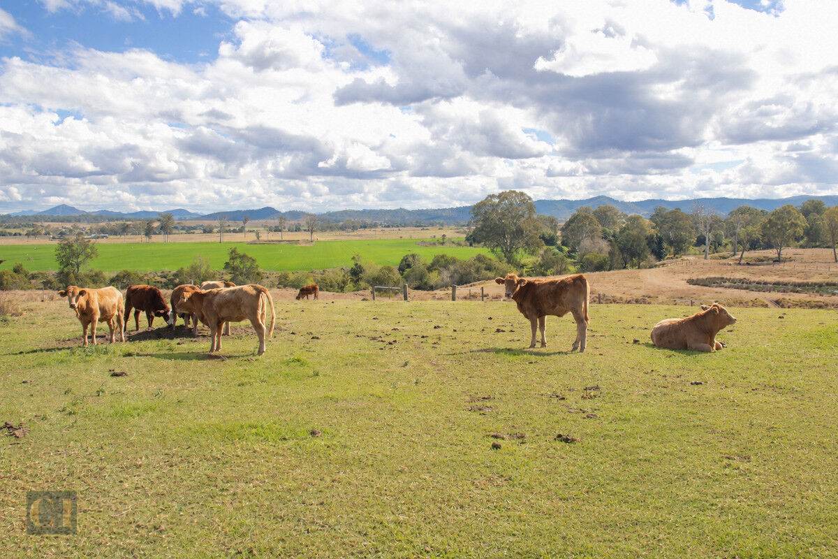 438 Christmas Creek Road, Tabooba Auction by Farmbuy.com - image 7