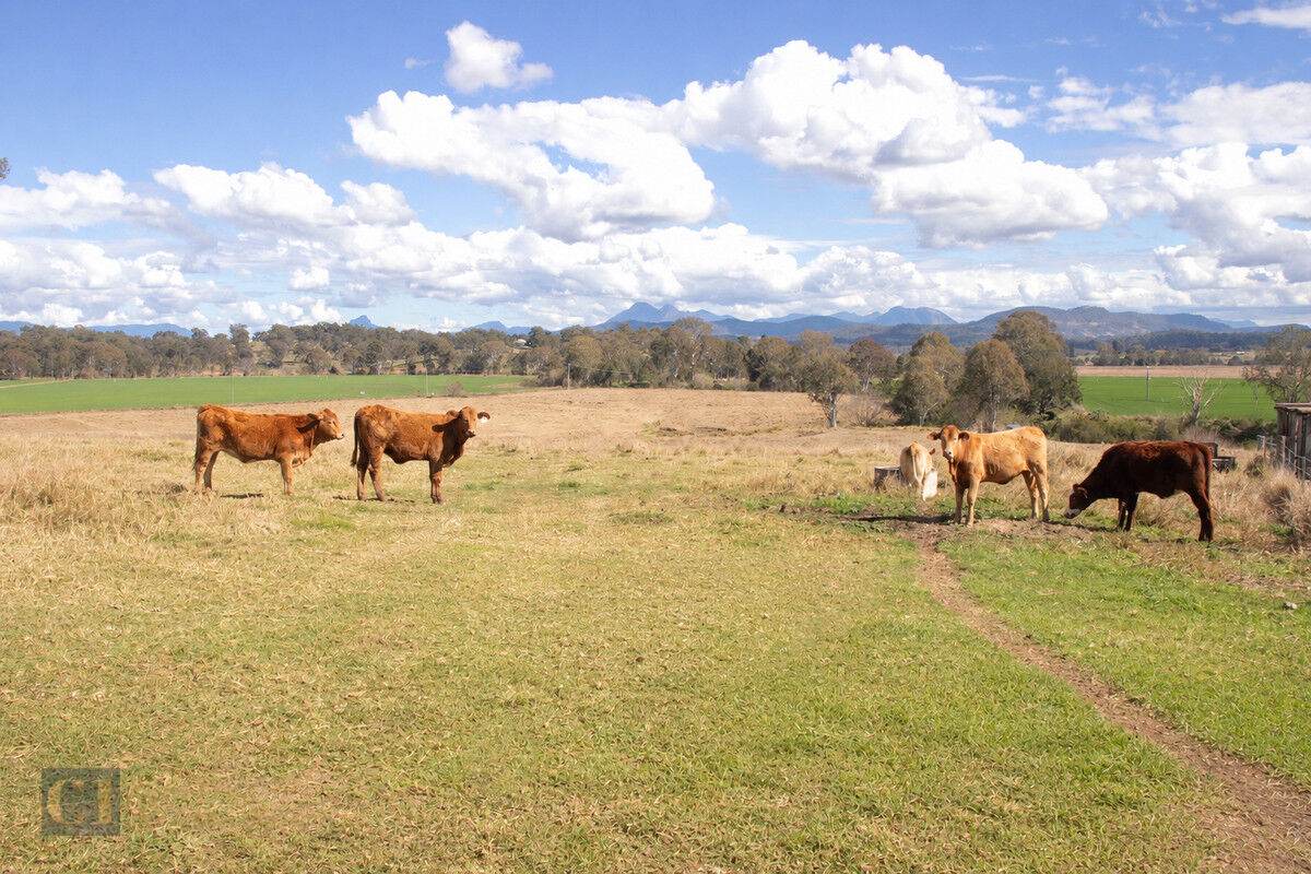 438 Christmas Creek Road, Tabooba Auction by Farmbuy.com - image 6