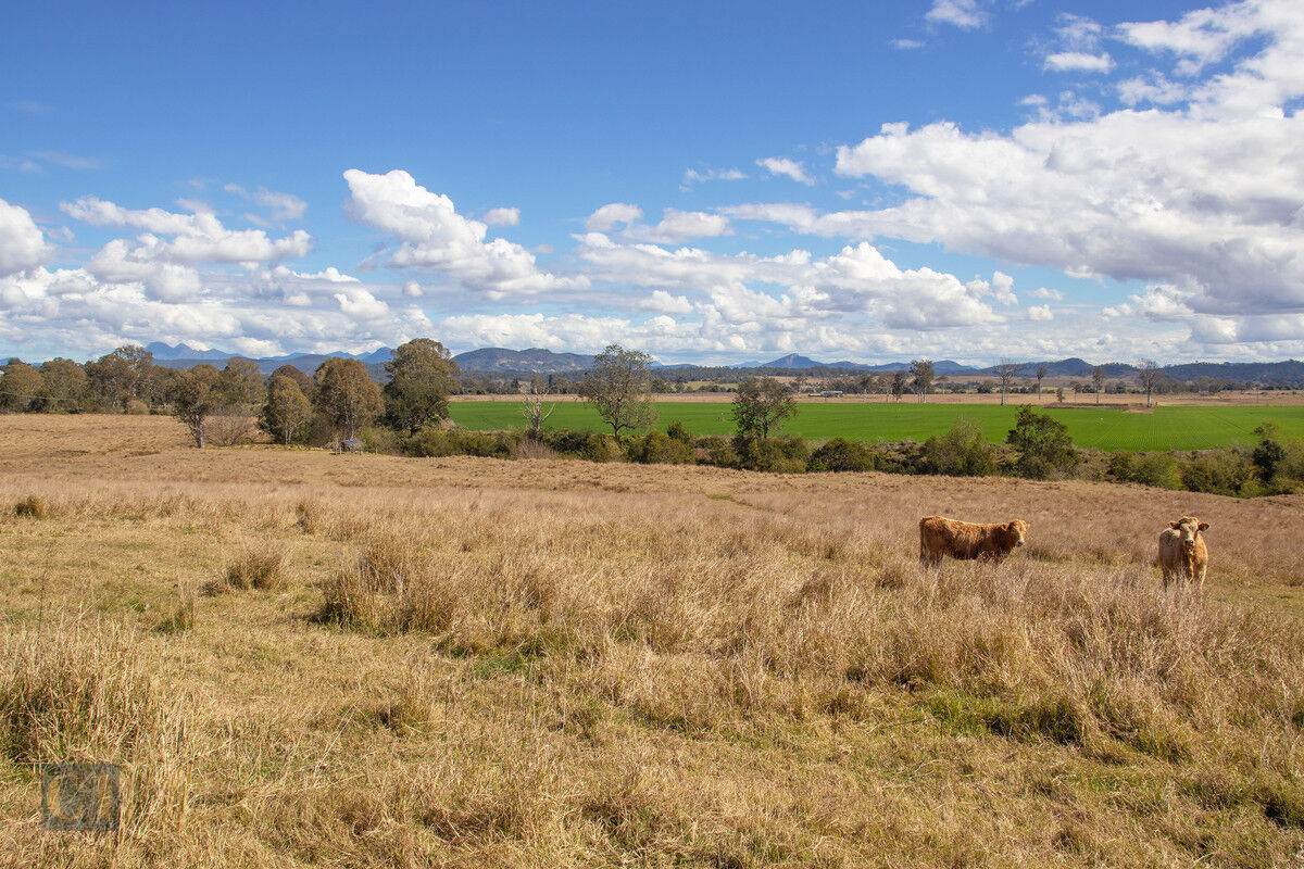 438 Christmas Creek Road, Tabooba Auction by Farmbuy.com - image 10
