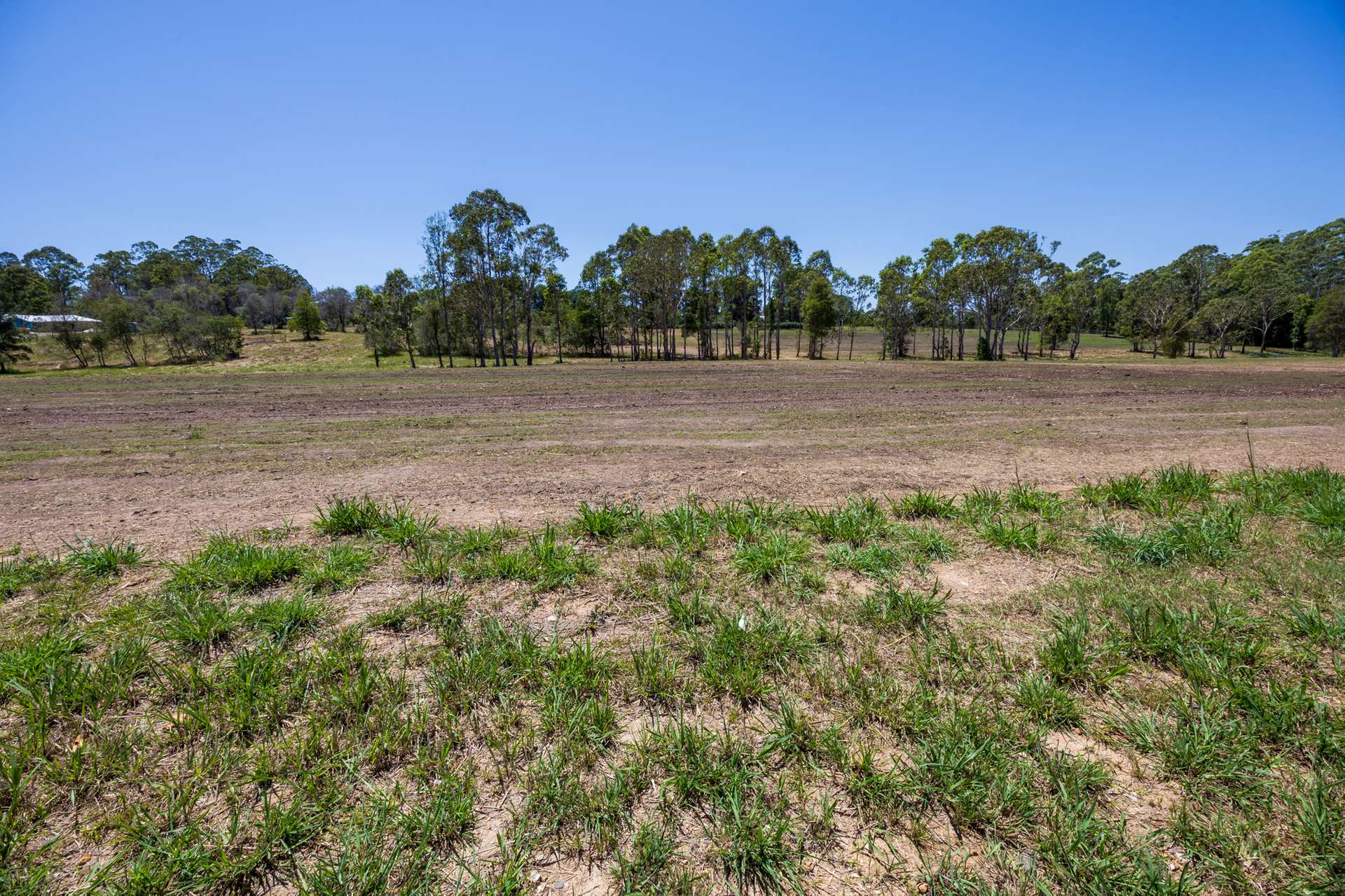Lot 216 Cassie Crescent, Beechwood For Sale by Farmbuy.com - image 2
