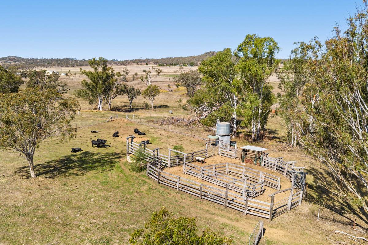 38 Hall Road, Forest Springs For Sale by Farmbuy.com - image 3