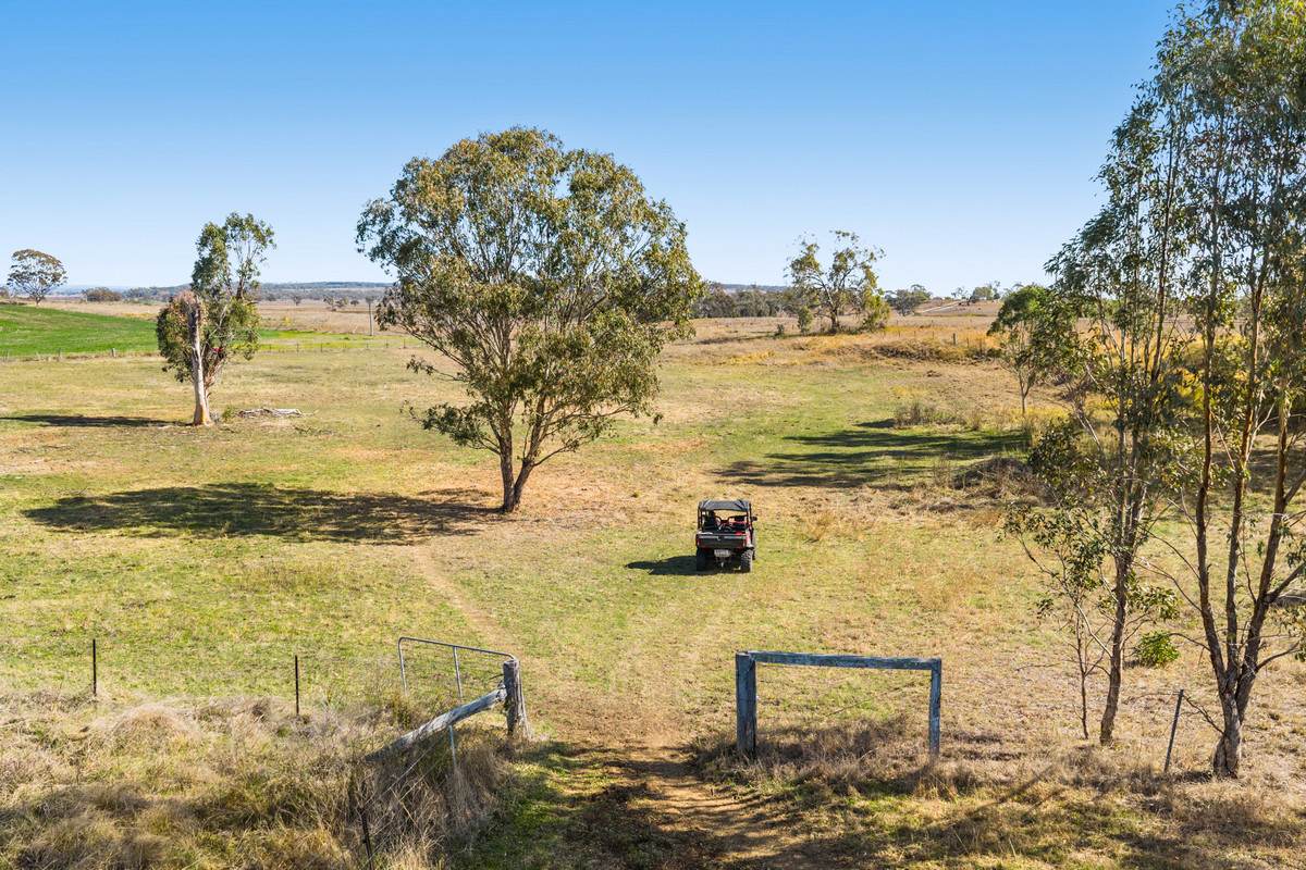 38 Hall Road, Forest Springs For Sale by Farmbuy.com - image 28
