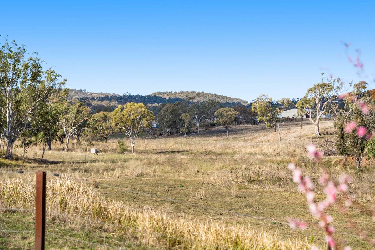 38 Hall Road, Forest Springs For Sale by Farmbuy.com - image 27