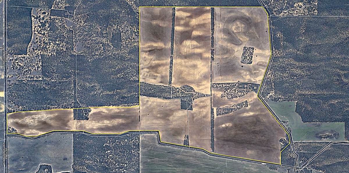 'Manya' Allan Road, Panitya For Sale by Farmbuy.com - image 16