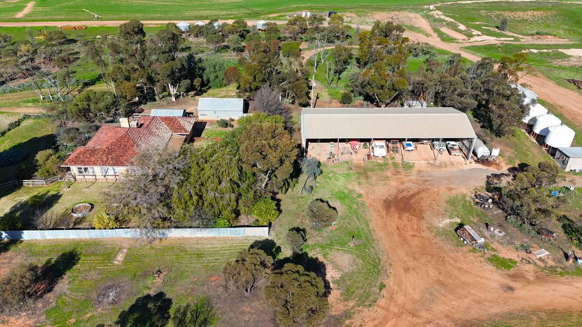 'Wayside' 614 Werrimull North Road, Werrimull For Sale by Farmbuy.com - image 3