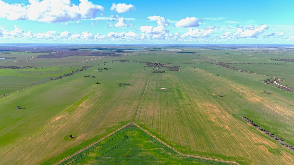 'Wayside' 614 Werrimull North Road, Werrimull For Sale by Farmbuy.com - image 16