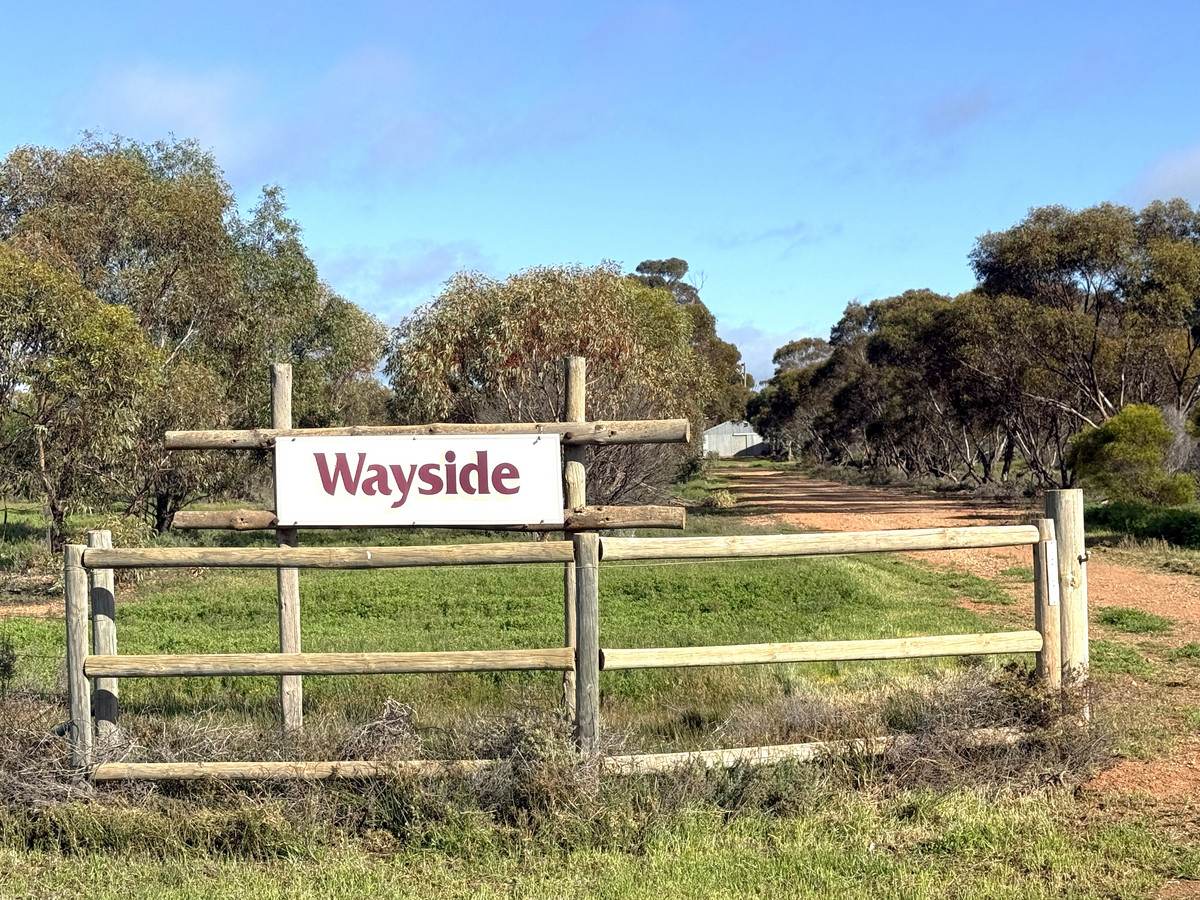 'Wayside' 614 Werrimull North Road, Werrimull For Sale by Farmbuy.com - image 19