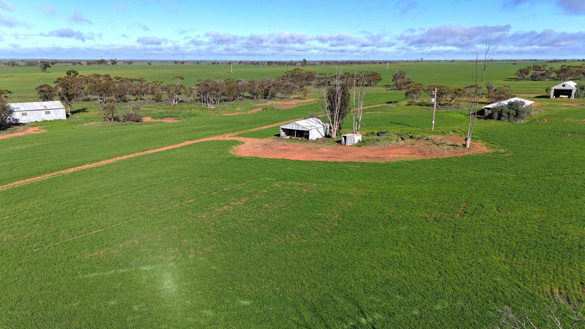 'Wayside' 614 Werrimull North Road, Werrimull For Sale by Farmbuy.com - image 11