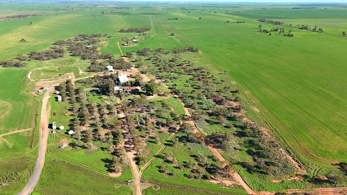 'Wayside' 614 Werrimull North Road, Werrimull For Sale by Farmbuy.com - image 2