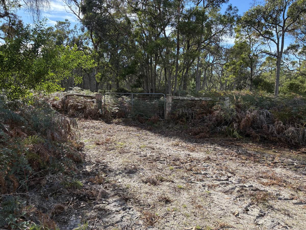 Lot 6B,  Range Road, Merino For Sale by Farmbuy.com - image 4
