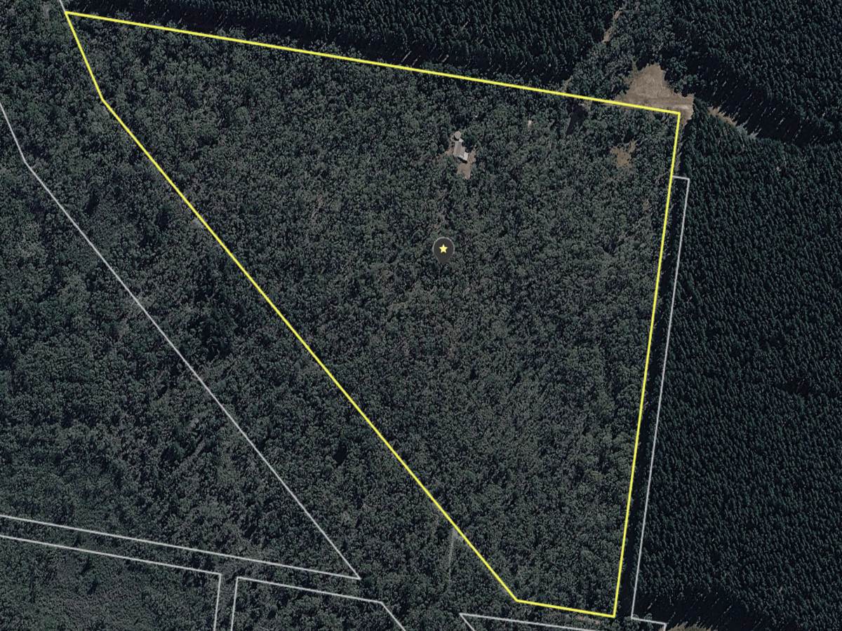 Lot 6B,  Range Road, Merino For Sale by Farmbuy.com - image 19