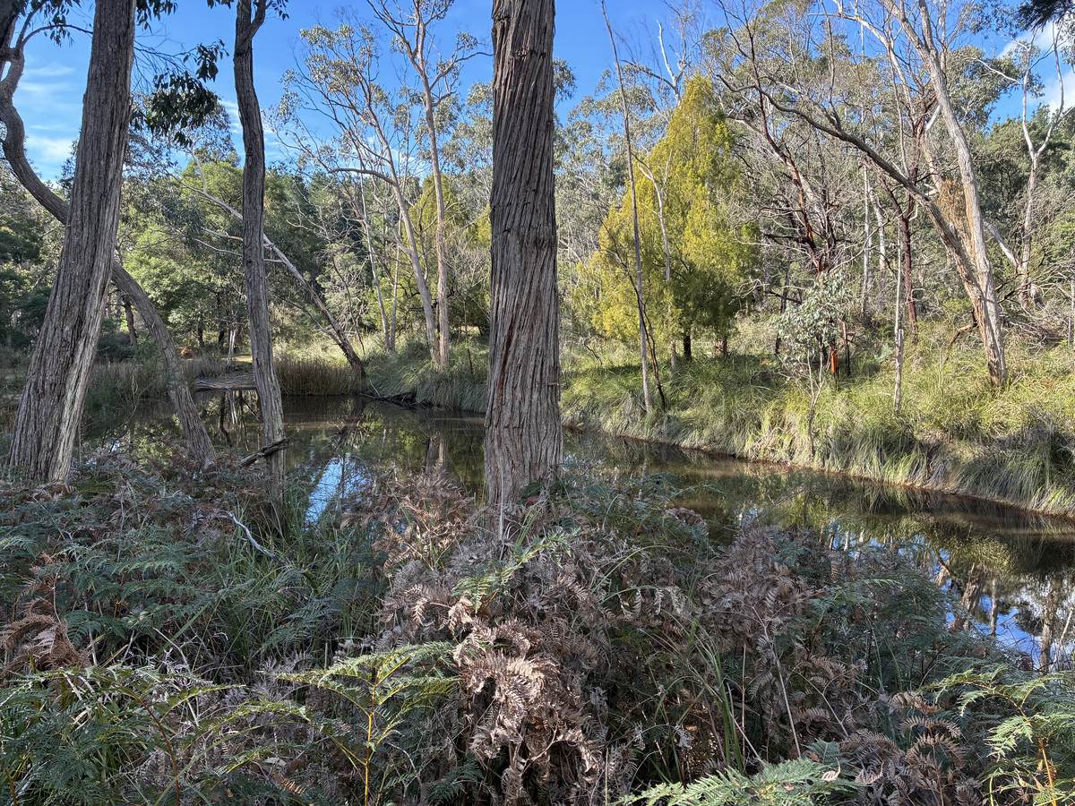 Lot 6B,  Range Road, Merino For Sale by Farmbuy.com - image 16