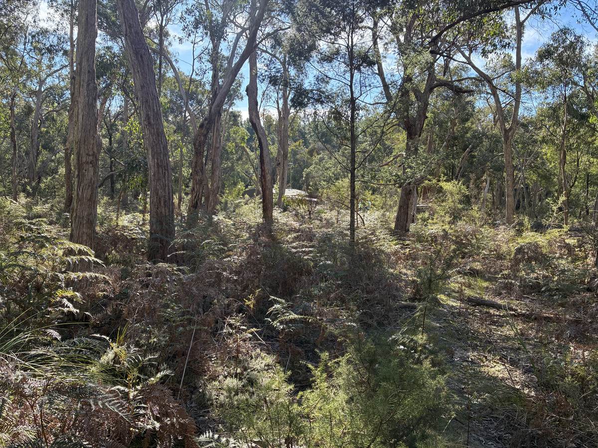Lot 6B,  Range Road, Merino For Sale by Farmbuy.com - image 3