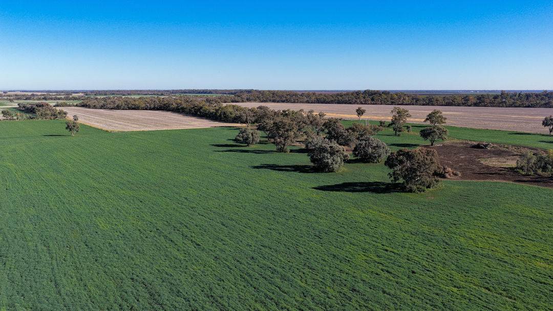 50 Boonery Road, Moree For Sale by Farmbuy.com - image 25