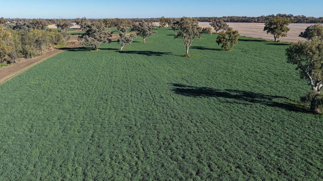 50 Boonery Road, Moree For Sale by Farmbuy.com - image 24