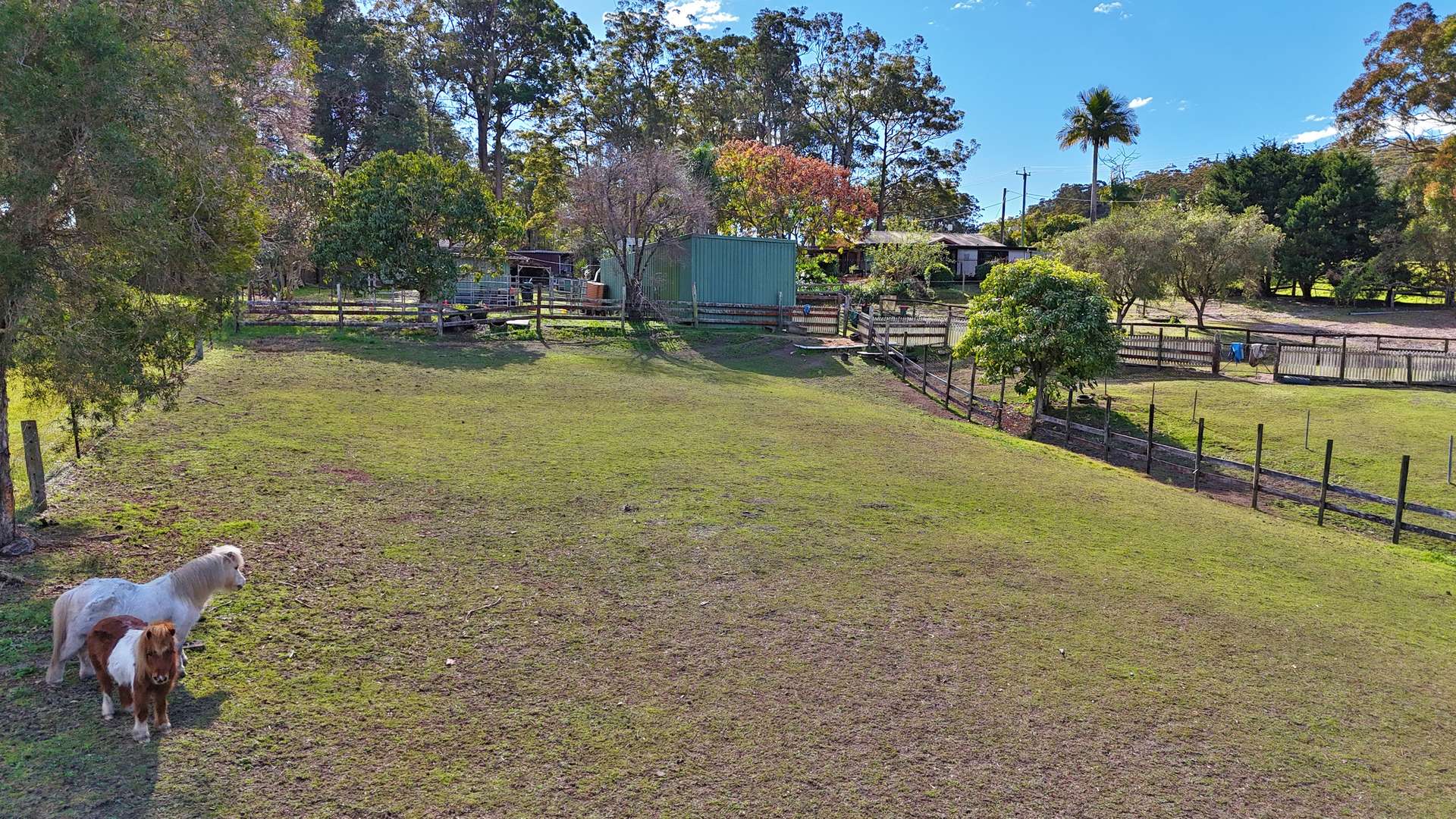 65 Logans Crossing Road, Kendall For Sale by Farmbuy.com - image 9