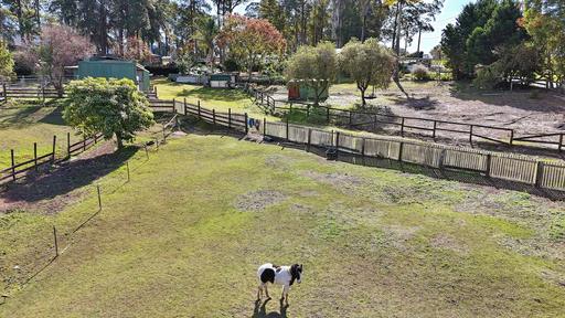Farm For Sale - NSW - Kendall - 2439 - Convenient In-Town Small Acreage with Loads of Potential 