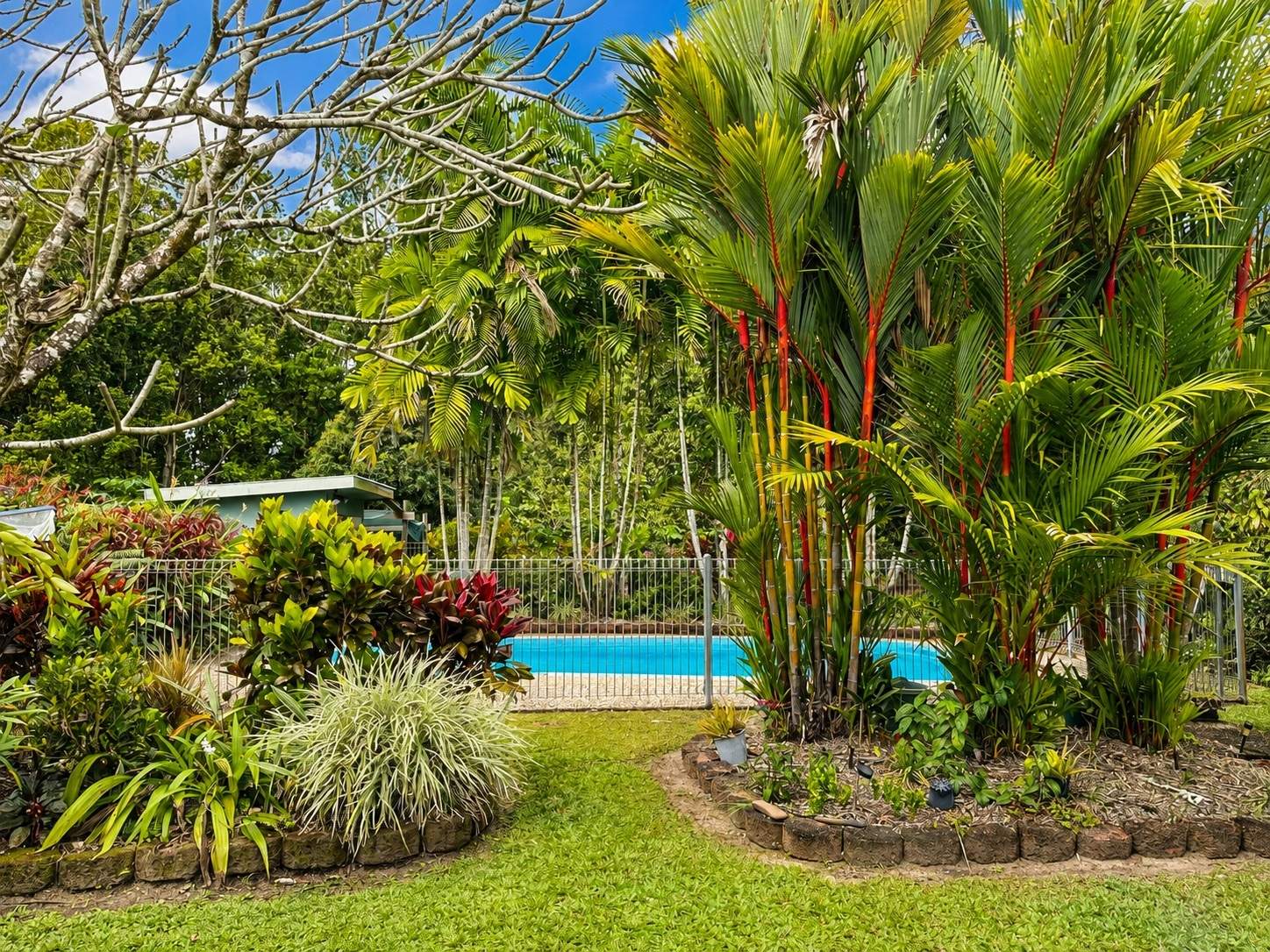 68 Paradise Palm Drive, Tully Heads For Sale by Farmbuy.com - image 28