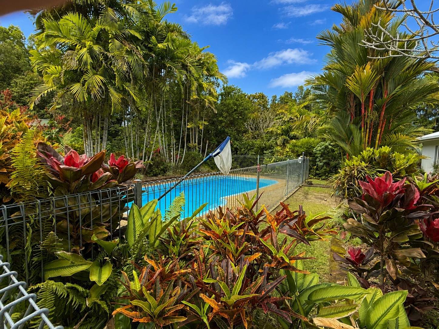68 Paradise Palm Drive, Tully Heads For Sale by Farmbuy.com - image 22
