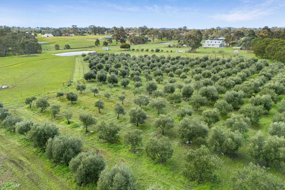 115 Wild Cherry Road, Lockwood South For Sale by Farmbuy.com - image 8