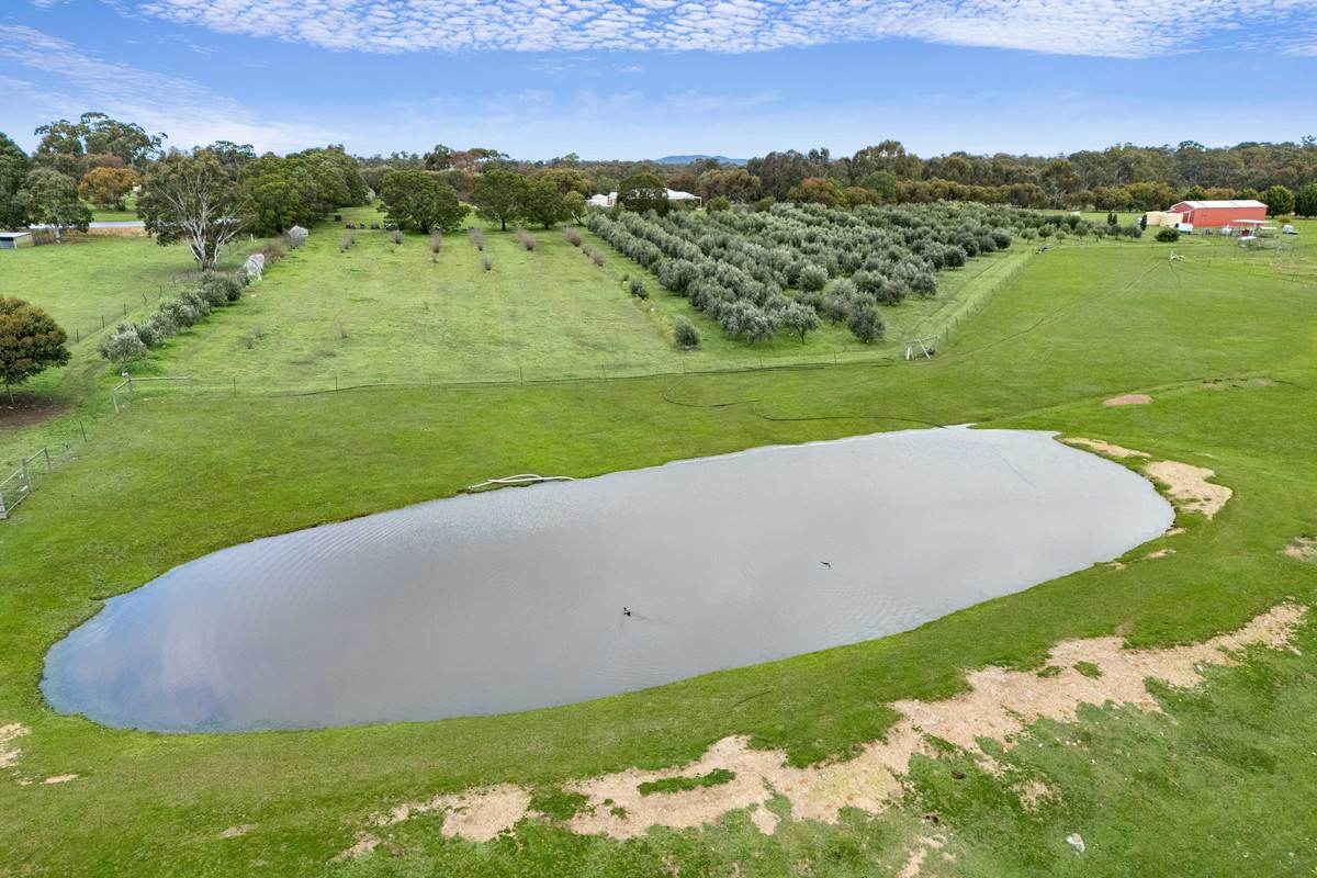 115 Wild Cherry Road, Lockwood South For Sale by Farmbuy.com - image 7