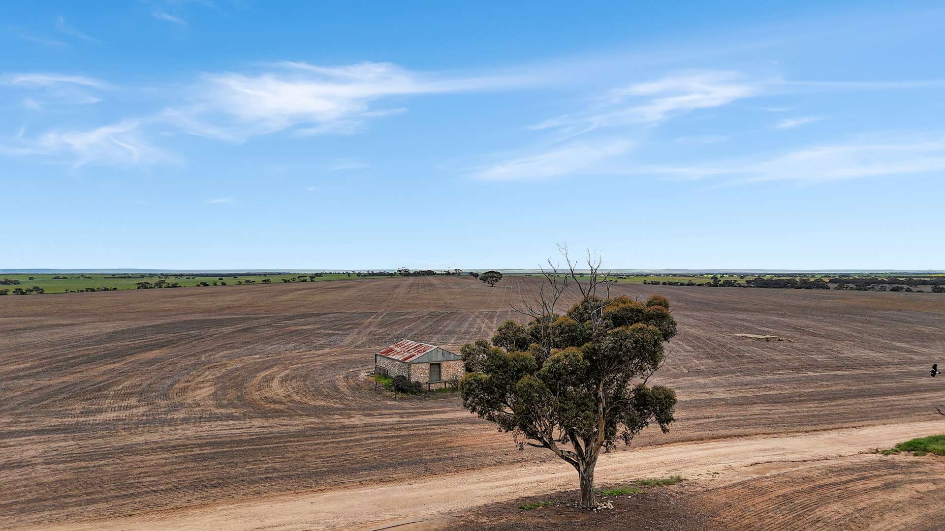 471 Old Dukes Highway, Moorlands Tender by Farmbuy.com - image 10