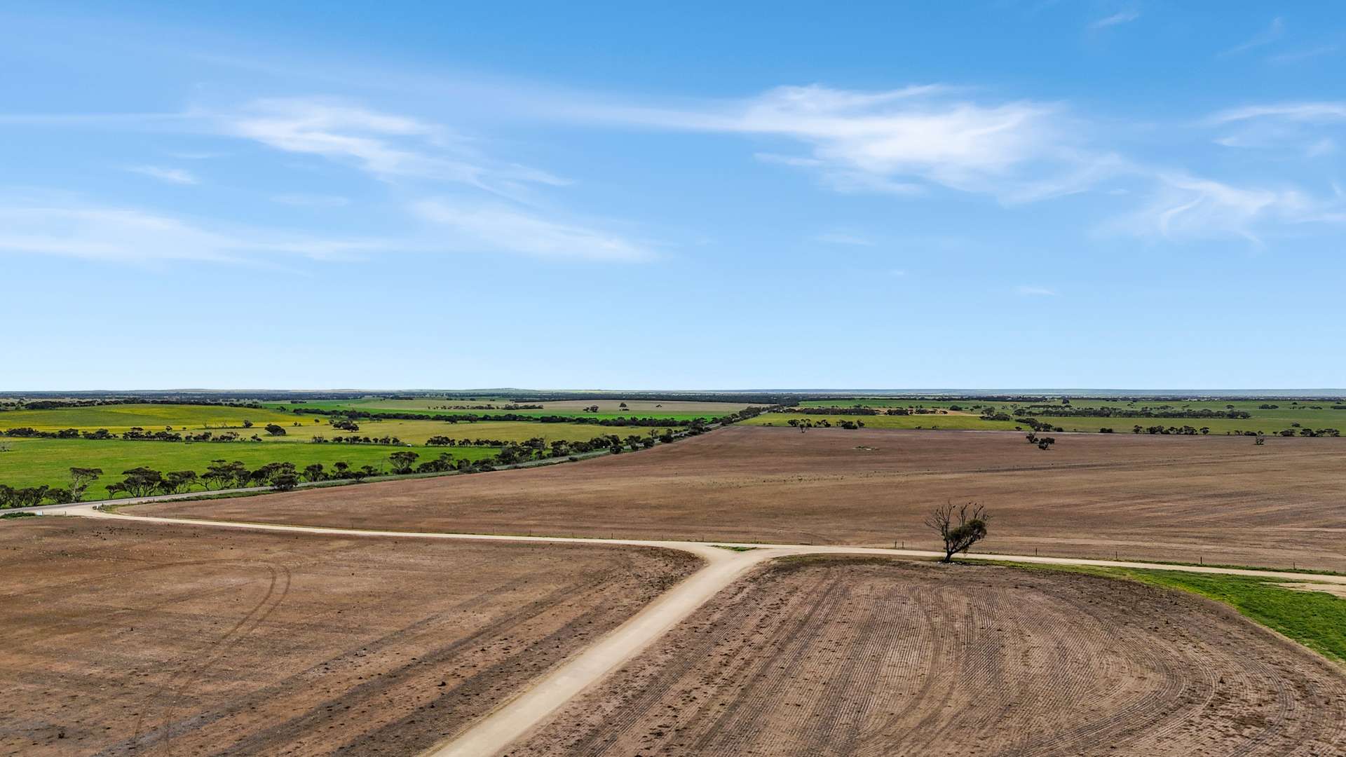 471 Old Dukes Highway, Moorlands Tender by Farmbuy.com - image 7