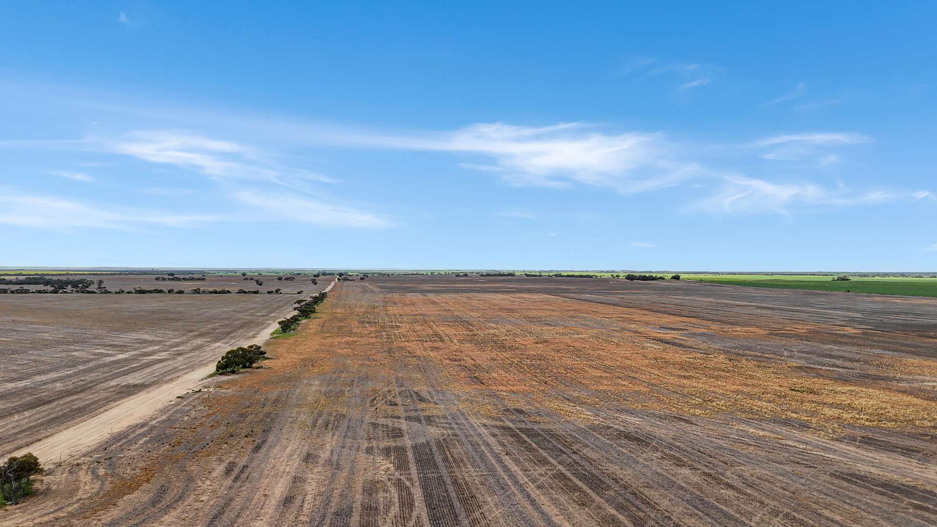 471 Old Dukes Highway, Moorlands Tender by Farmbuy.com - image 9
