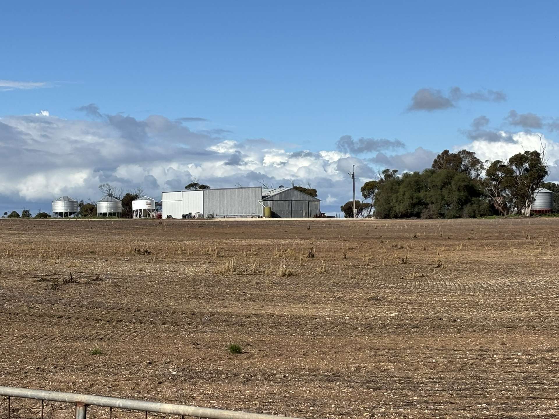 471 Old Dukes Highway, Moorlands Tender by Farmbuy.com - image 8