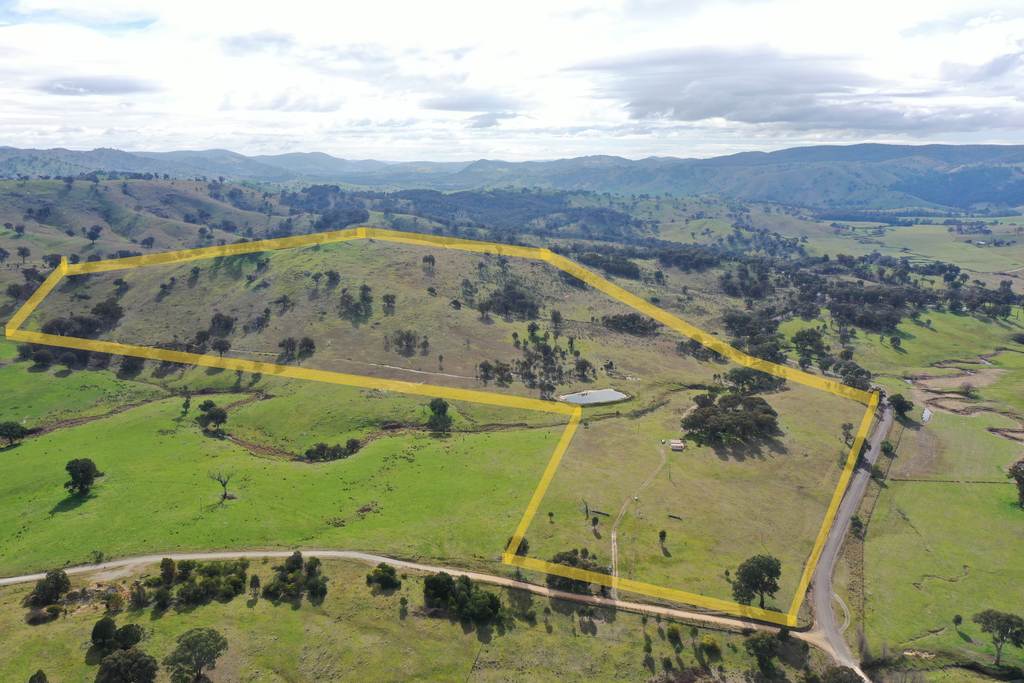 2974 Taylors Flat Road, Reids Flat NSW 2586