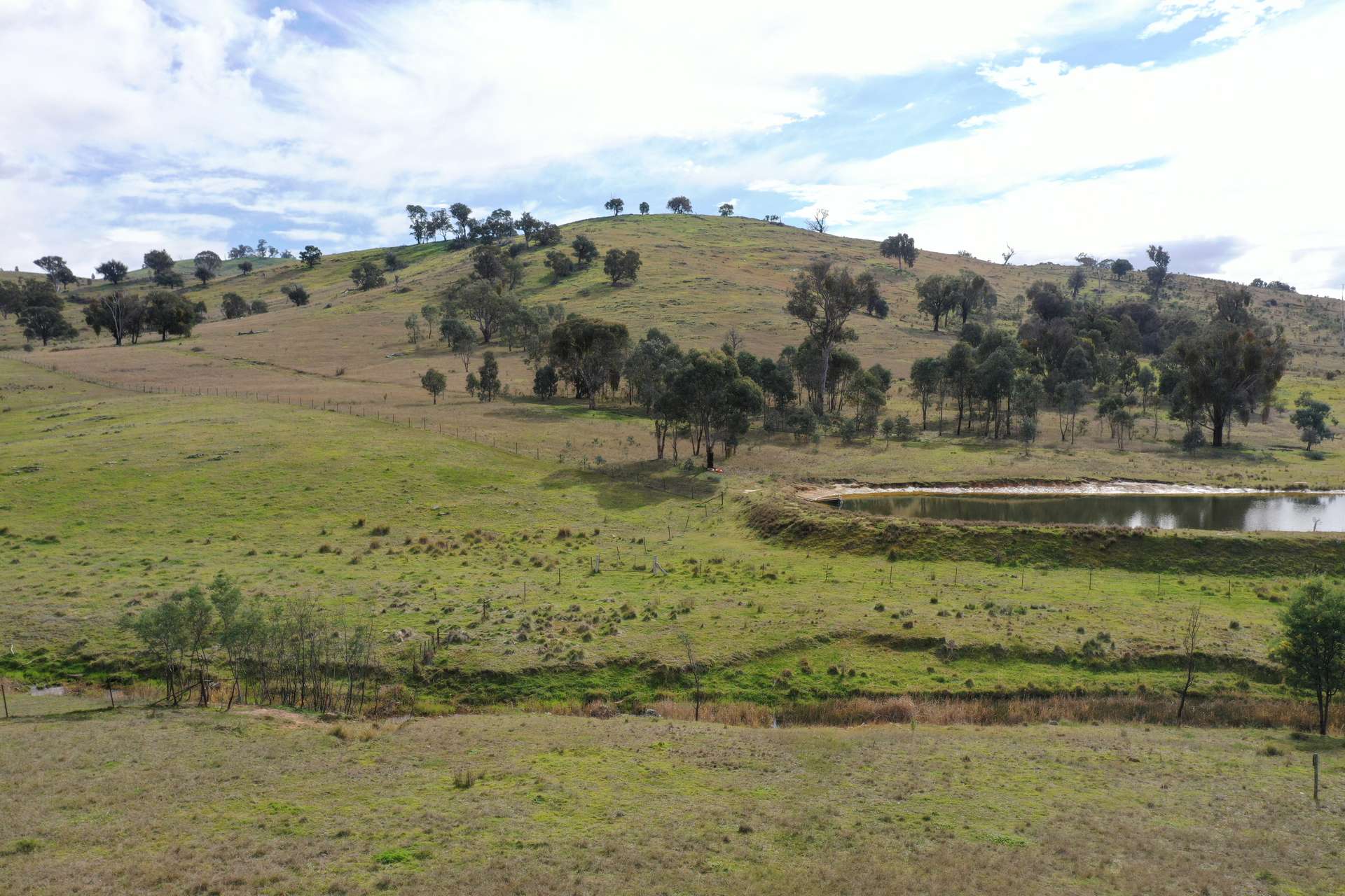 2974 Taylors Flat Road, Reids Flat For Sale by Farmbuy.com - image 13
