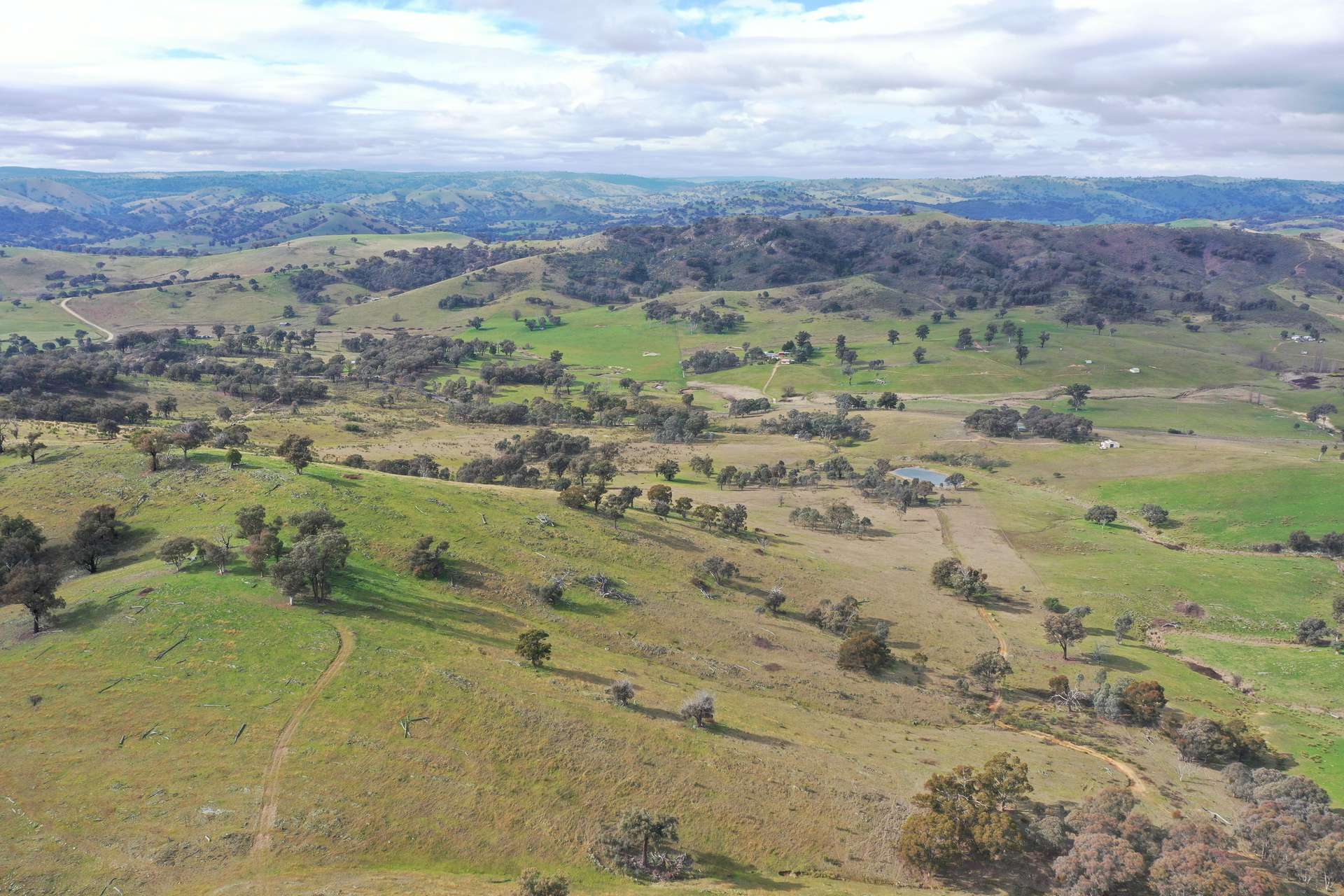 2974 Taylors Flat Road, Reids Flat For Sale by Farmbuy.com - image 13