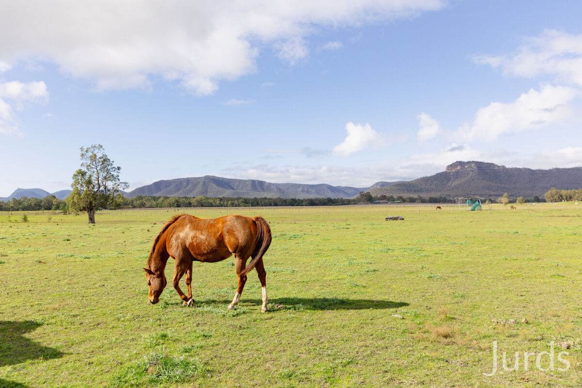 88 Hill Street, Broke For Sale by Farmbuy.com - image 32