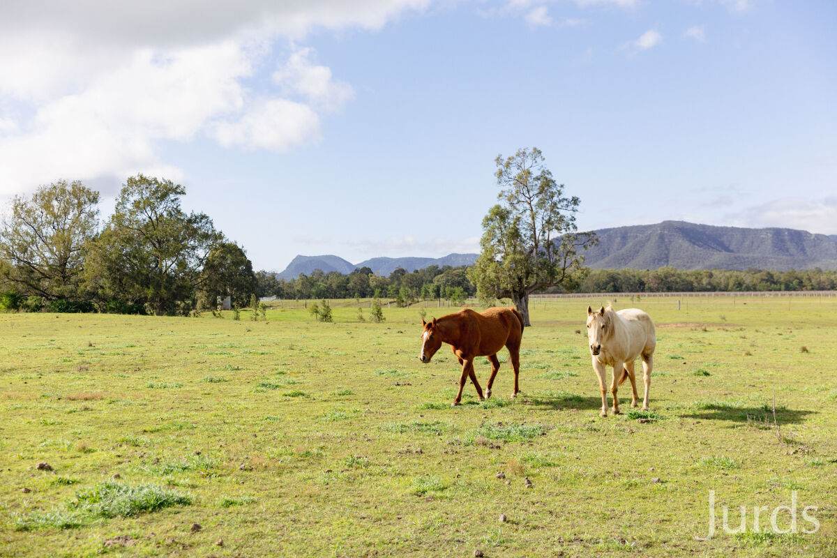 88 Hill Street, Broke For Sale by Farmbuy.com - image 33