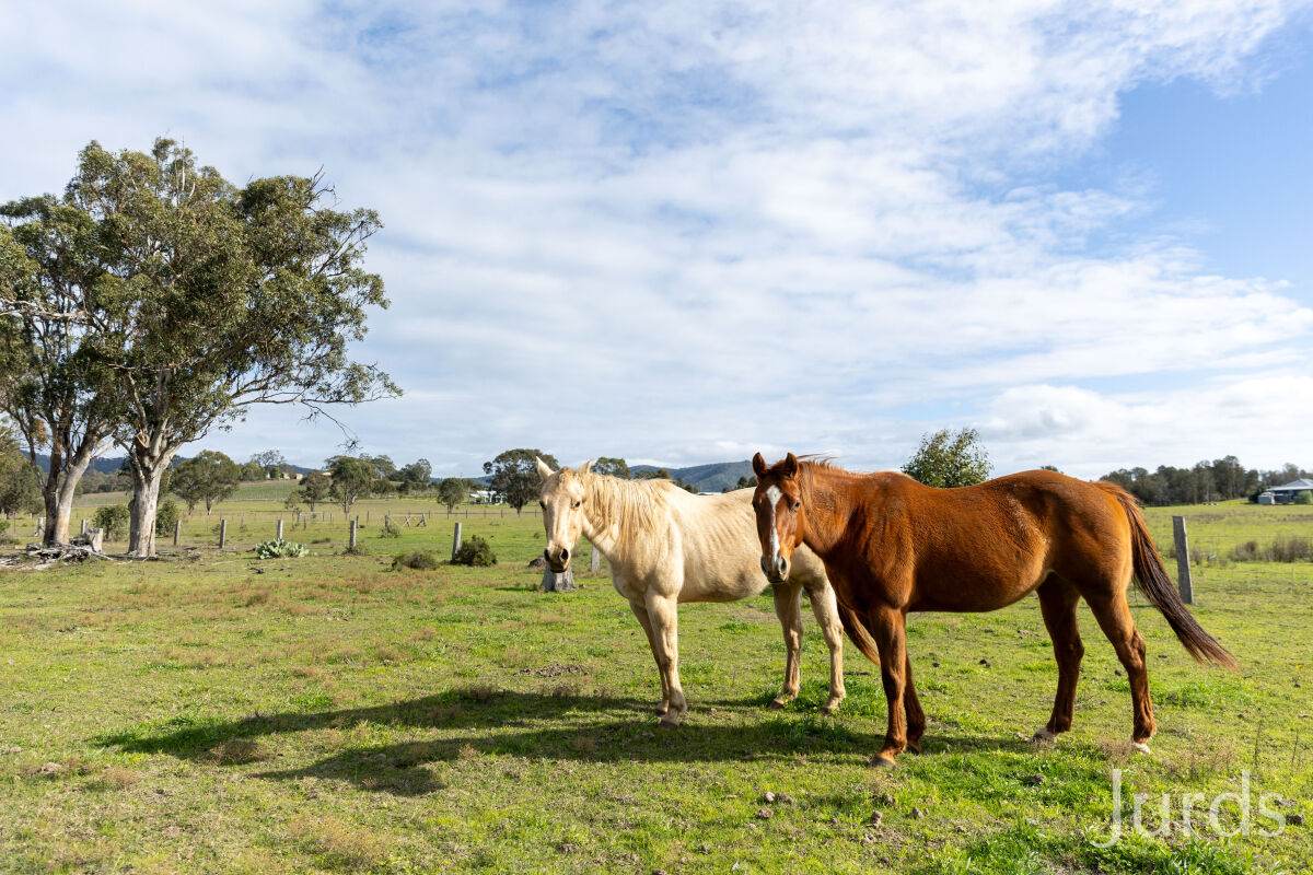 88 Hill Street, Broke For Sale by Farmbuy.com - image 31