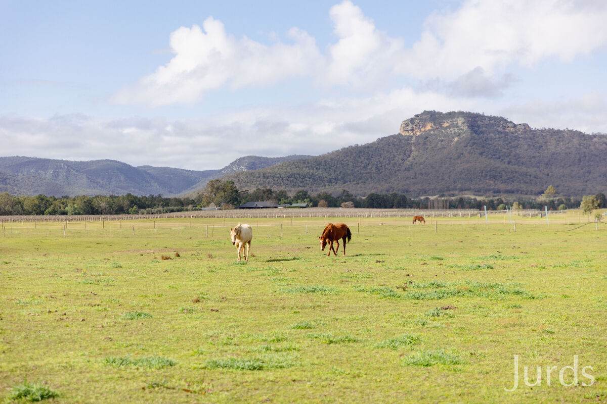 88 Hill Street, Broke For Sale by Farmbuy.com - image 5
