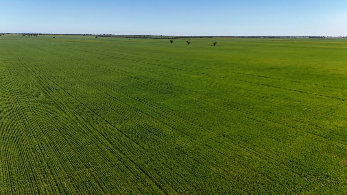'Box Tank' 309 Arney Lane, Werrimull For Sale by Farmbuy.com - image 3