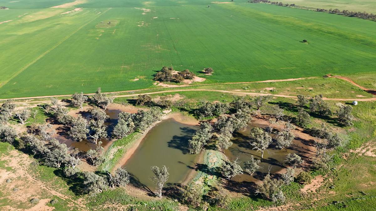 'Box Tank' 309 Arney Lane, Werrimull For Sale by Farmbuy.com - image 18