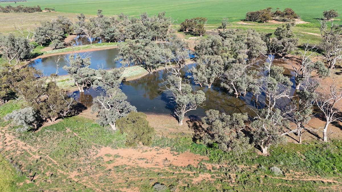 'Box Tank' 309 Arney Lane, Werrimull For Sale by Farmbuy.com - image 24