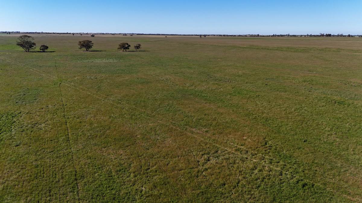 'Box Tank' 309 Arney Lane, Werrimull For Sale by Farmbuy.com - image 14