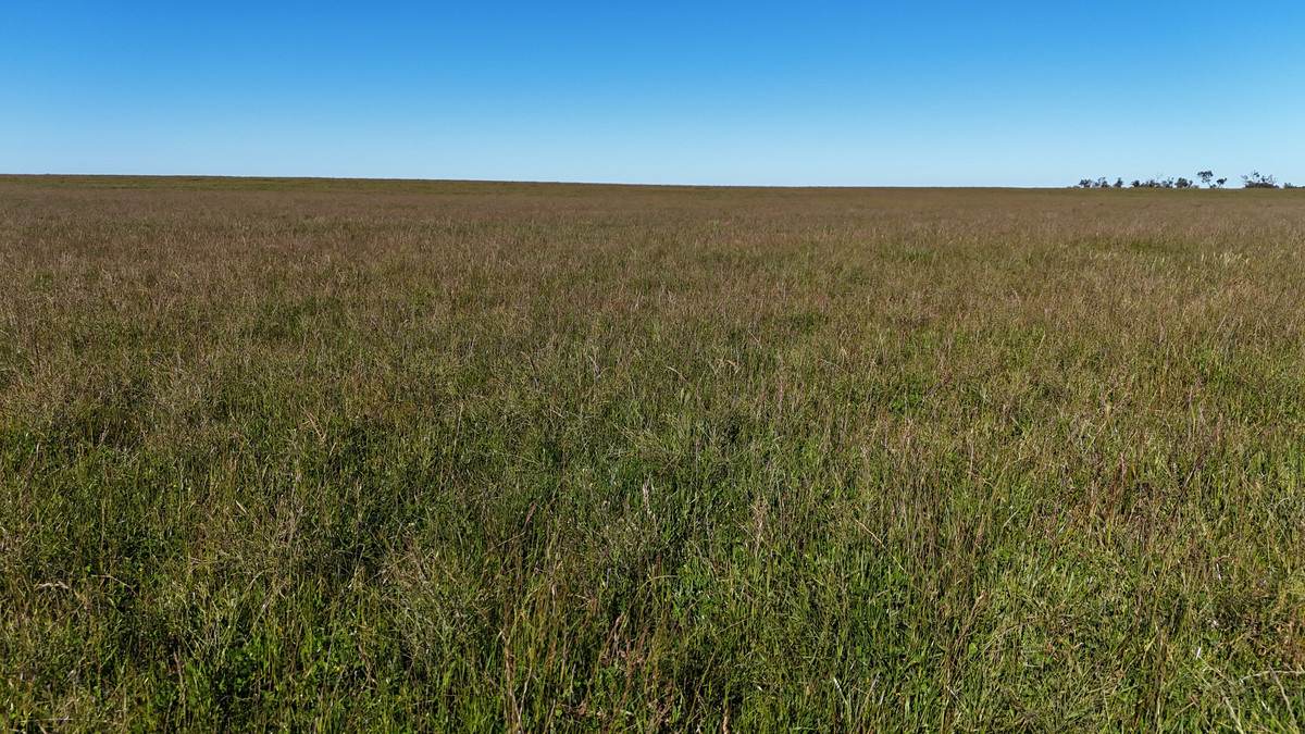 'Box Tank' 309 Arney Lane, Werrimull For Sale by Farmbuy.com - image 16