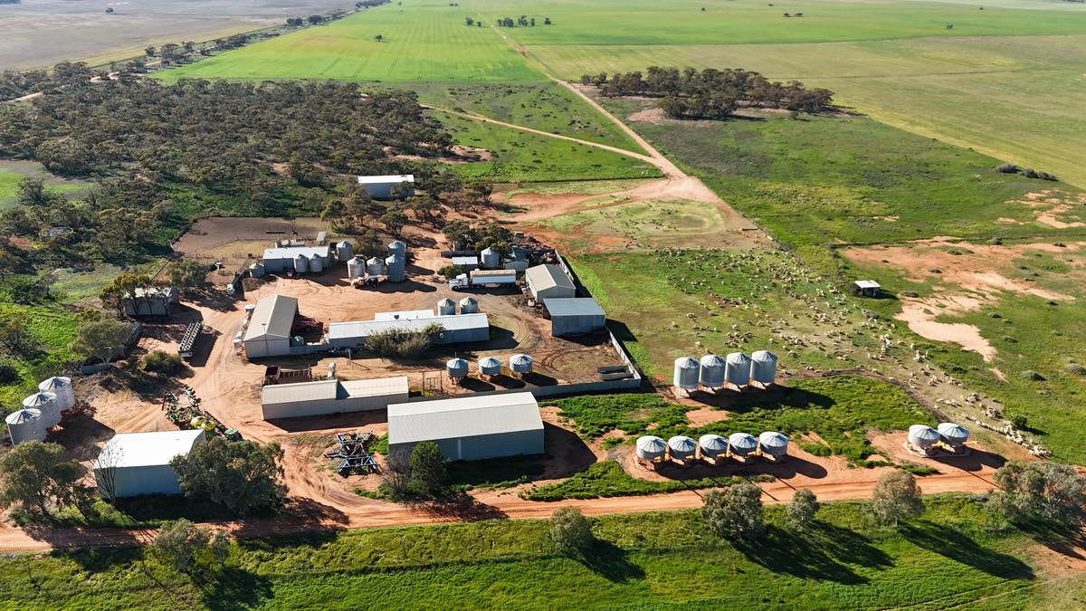 'Box Tank' 309 Arney Lane, Werrimull For Sale by Farmbuy.com - image 2