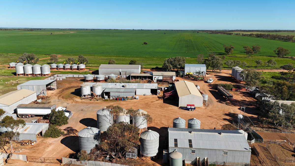 'Box Tank' 309 Arney Lane, Werrimull For Sale by Farmbuy.com - image 5